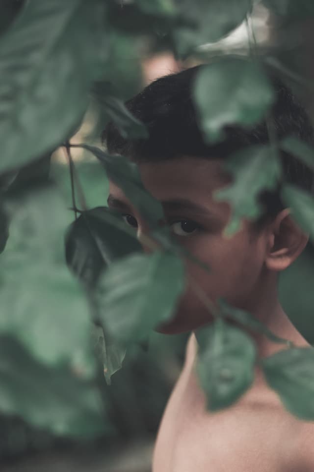 A child looking through green leaves